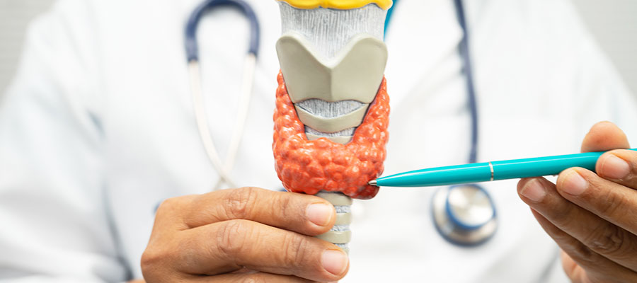 Cysts and solid areas