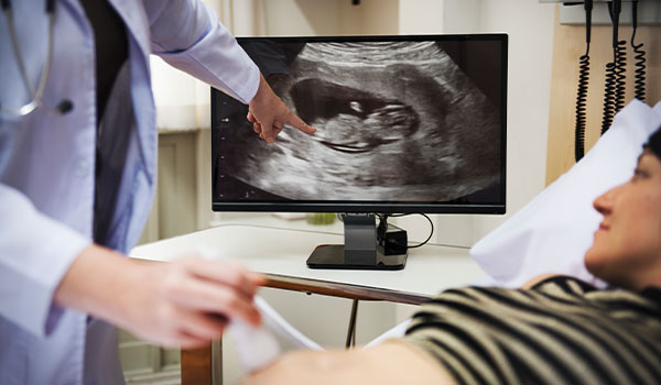 Fetal anatomy/Level II/ Anomaly scan (18 to 22 weeks)