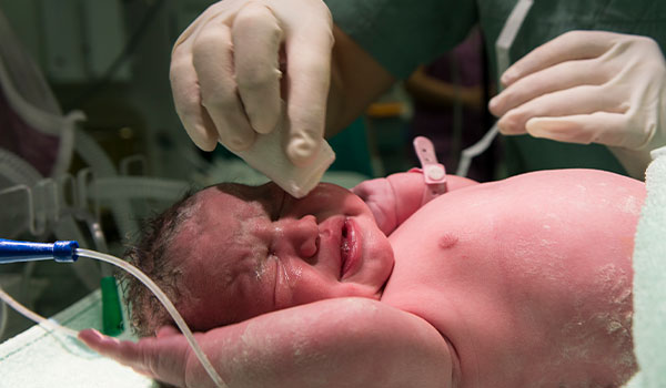 Placenta