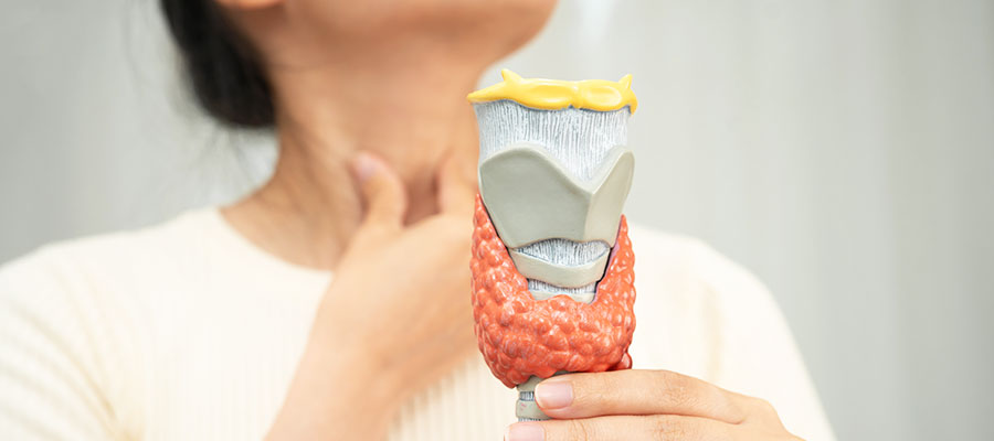 Thyroid size and shape