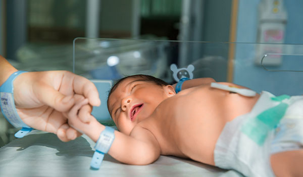 Umbilical cord