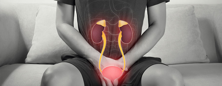 Urinary Bladder