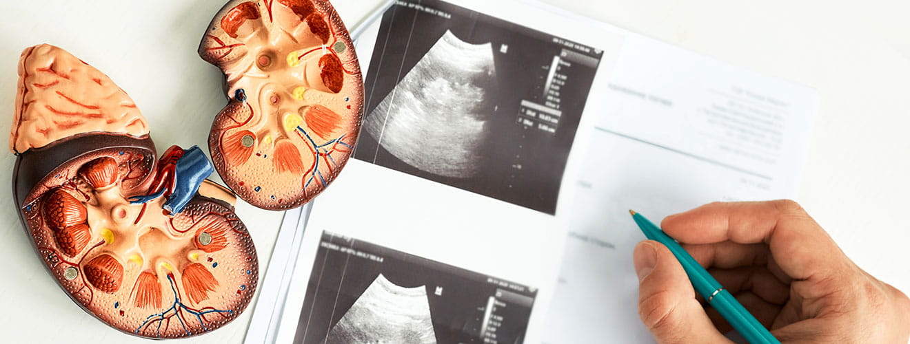 Nephrology & Renal Access Interventions