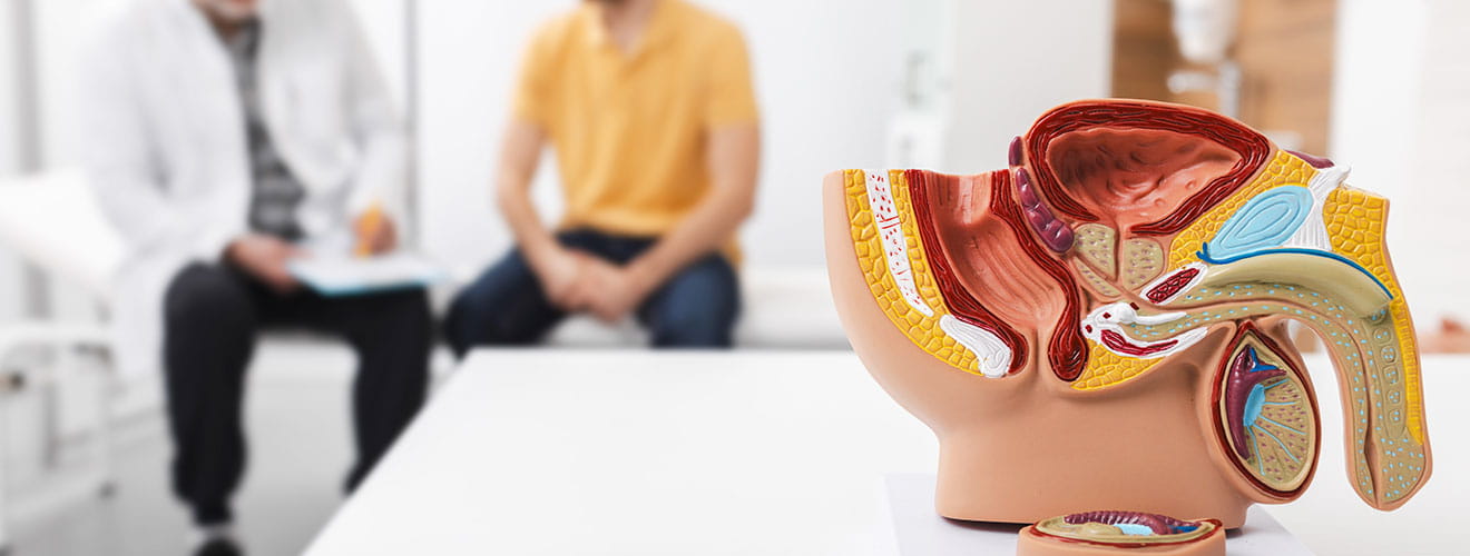 Men's Health Interventions